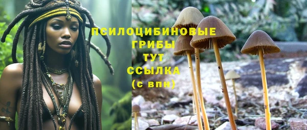 стафф Алексеевка