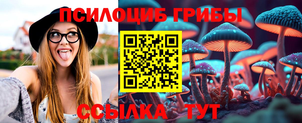 Галлюциногенные грибы мицелий Губкин