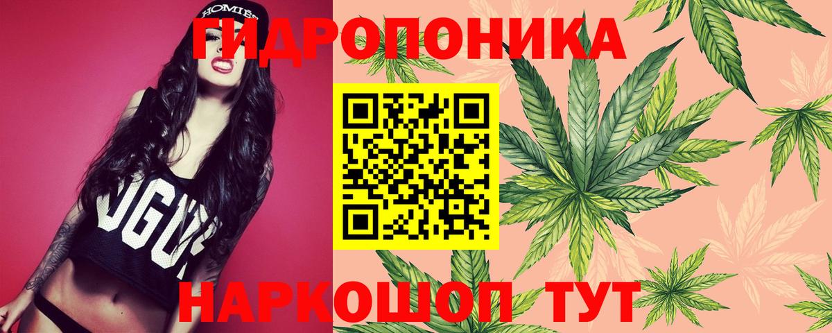 Бошки марихуана Amnesia Губкин