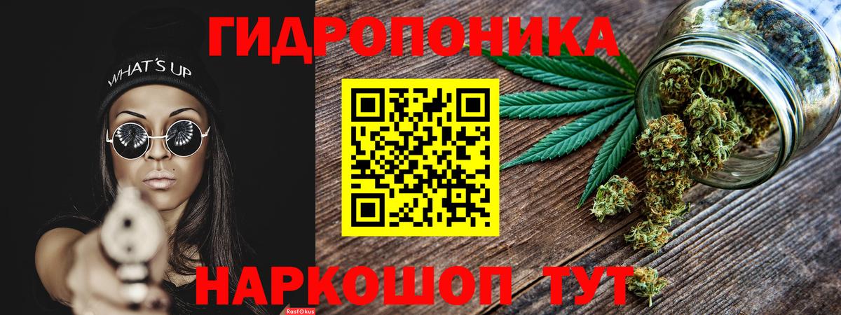 Губкин  Каннабис план  Вход с VPN  Бошки марихуана Ganja 